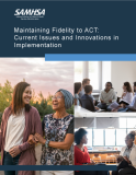 Maintaining Fidelity to ACT: Current Issues and Innovations in Implementation
