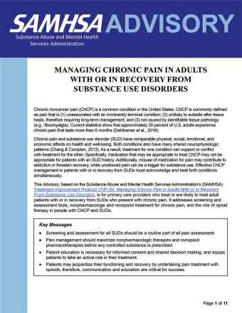 Opioid Therapy in Patients With Chronic Noncancer Pain Who Are in Recovery From Substance Use Disorders