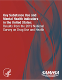 Key Substance Use and Mental Health Indicators in the United States: Results from the 2019 National Survey on Drug Use and Health